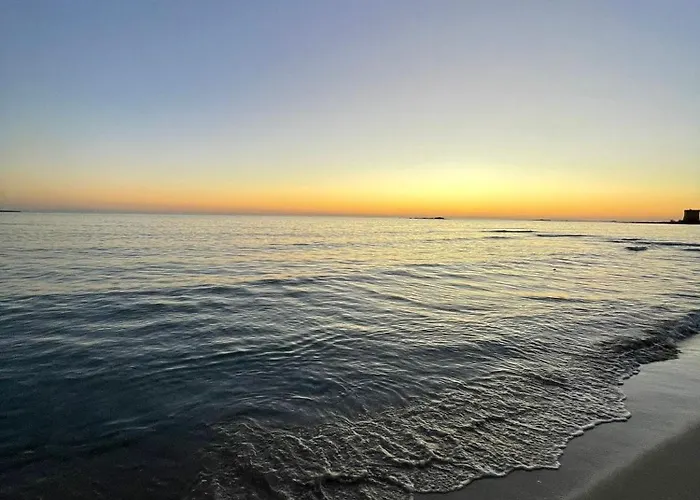 Briamar 托里德欧索