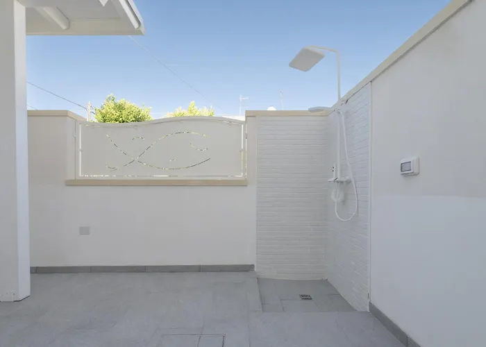 Briamar 托里德欧索